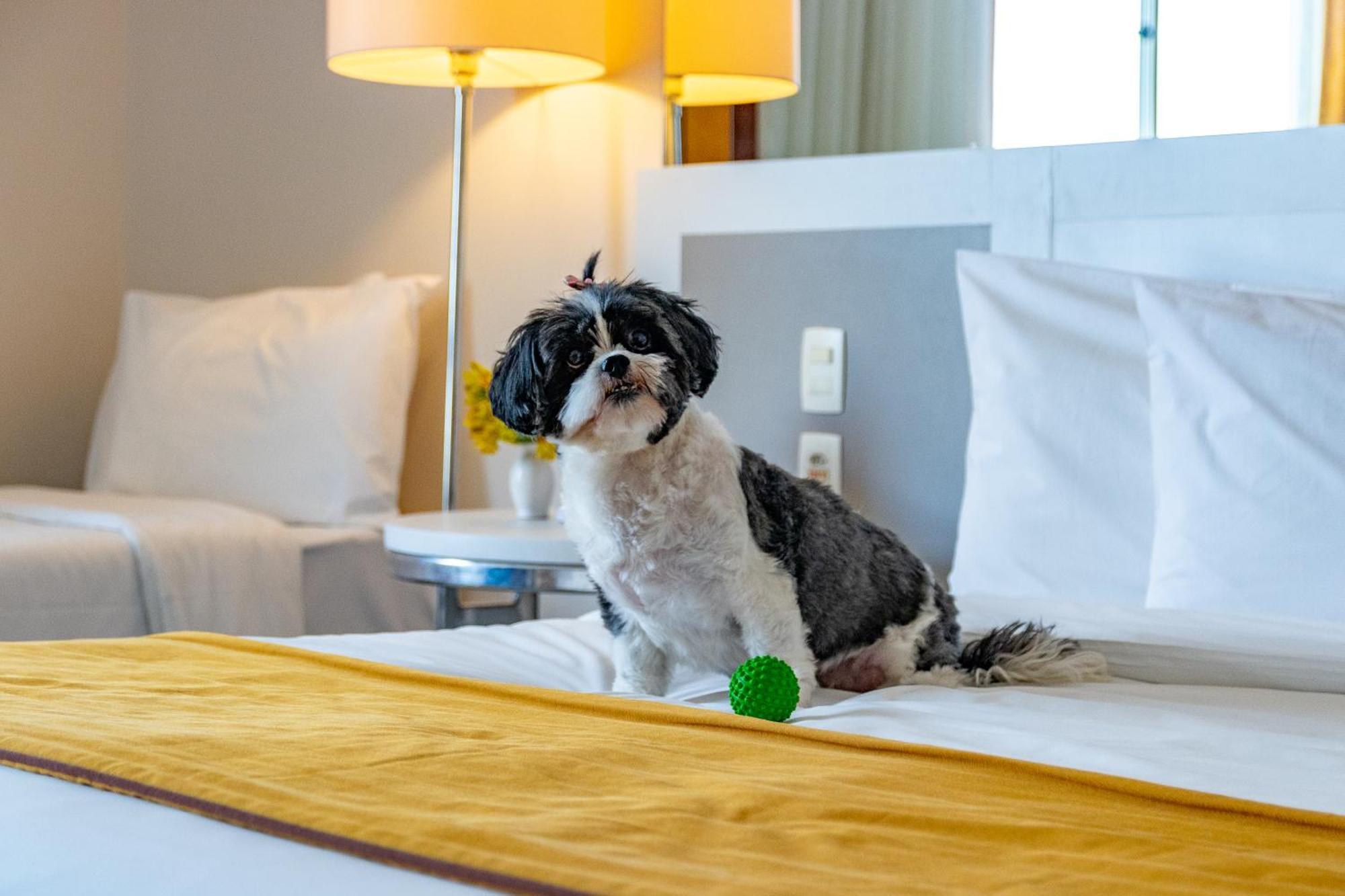 Esuites Lagoa Santa Lagoa Santa  Ngoại thất bức ảnh